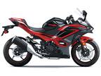 2024 Kawasaki Ninja 500 SE 40th Anniversary Edition ABS