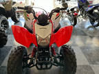 2024 Honda TRX250X