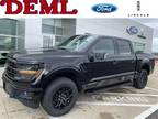 2024 Ford F-150 Black, new