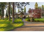 Idyllic Peaceful Setting Amongst Towering Trees