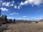Plot For Sale In Stanley, Idaho