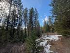 Plot For Sale In Priest River, Idaho