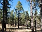 Plot For Sale In Quemado, New Mexico