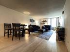 Condo For Rent In Chicago, Illinois