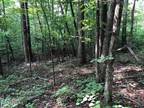 Plot For Sale In Thorn Hill, Tennessee