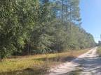 Plot For Sale In Newberry, Florida