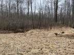 Plot For Sale In Alger, Michigan