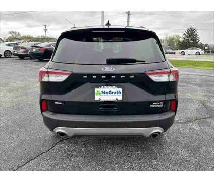 2021 Ford Escape SEL is a Black 2021 Ford Escape SEL SUV in Dubuque IA