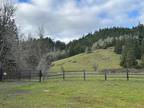 Plot For Sale In Tenmile, Oregon