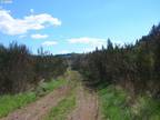 Plot For Sale In Logsden, Oregon