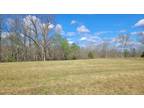Plot For Sale In Centerville, Tennessee