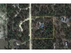 Plot For Sale In Dunnellon, Florida