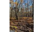 Plot For Sale In Beech Creek, Pennsylvania