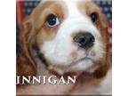 Finnigan