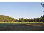 Plot For Sale In Priest River, Idaho