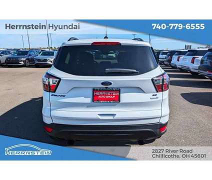 2018 Ford Escape SE is a White 2018 Ford Escape SE SUV in Chillicothe OH