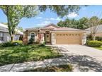 10703 Stallgate Dr, Tampa, FL 33624