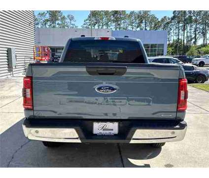 2023 Ford F-150 XLT is a Blue 2023 Ford F-150 XLT Truck in Gainesville FL