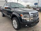 2013 Ford F-150 Platinum