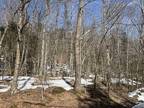 Plot For Sale In Riley Township, Maine