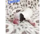 Deliliah