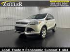 Used 2016 FORD Escape For Sale