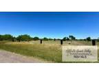 Plot For Sale In San Benito, Texas