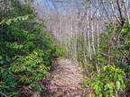 Plot For Sale In Lake Toxaway, North Carolina