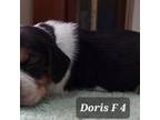 Doris F 4