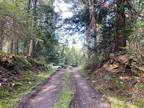 Plot For Sale In Orcas Island, Washington