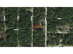 Ocala, Marion County, FL Undeveloped Land, Homesites for sale Property ID: