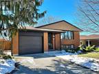 11 Lombardy Crt, Kitchener, ON, N2M 1W8 - house for lease Listing ID X8167918