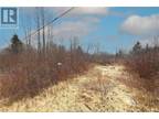 186 Walker Rd, Sackville, NB, E4L 3C2 - vacant land for sale Listing ID M158466