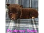 Prudence