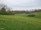 Farm House For Sale In Limestone, Tennessee