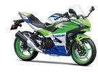 2024 Kawasaki Ninja 500 SE 40th Anniversary Edition Motorcycle for Sale