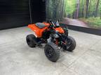 2023 Can-Am DS 250 ATV for Sale
