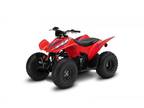 2024 Honda TRX90X Manual Shift ATV for Sale
