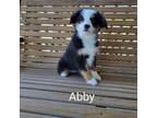 Abby