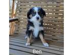 Ben