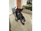 Maclaren Quest Black Stroller