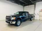 2010 Ford F150 SuperCrew Cab for sale