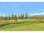 Condo For Sale In Lahaina, Hawaii