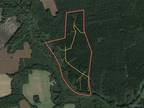 Elberon, Surry County, VA Undeveloped Land, Lakefront Property