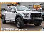 2019 Ford F-150 Raptor RECARO CARBON FIBER / ONE OWNER / TECH PKG - Dallas,TX