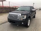 2013 FORD F-150 PLATINUM - Keller,TX