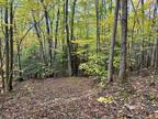 Plot For Sale In Troutdale, Virginia