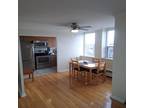Rental listing in The Glebe, Central Ottawa. Contact the landlord or property