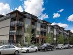 2460 Kelly Ave #303, Port Coquitlam, BC V3C 1Y4 MLS# R2851898