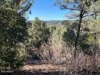 Plot For Sale In Payson, Arizona